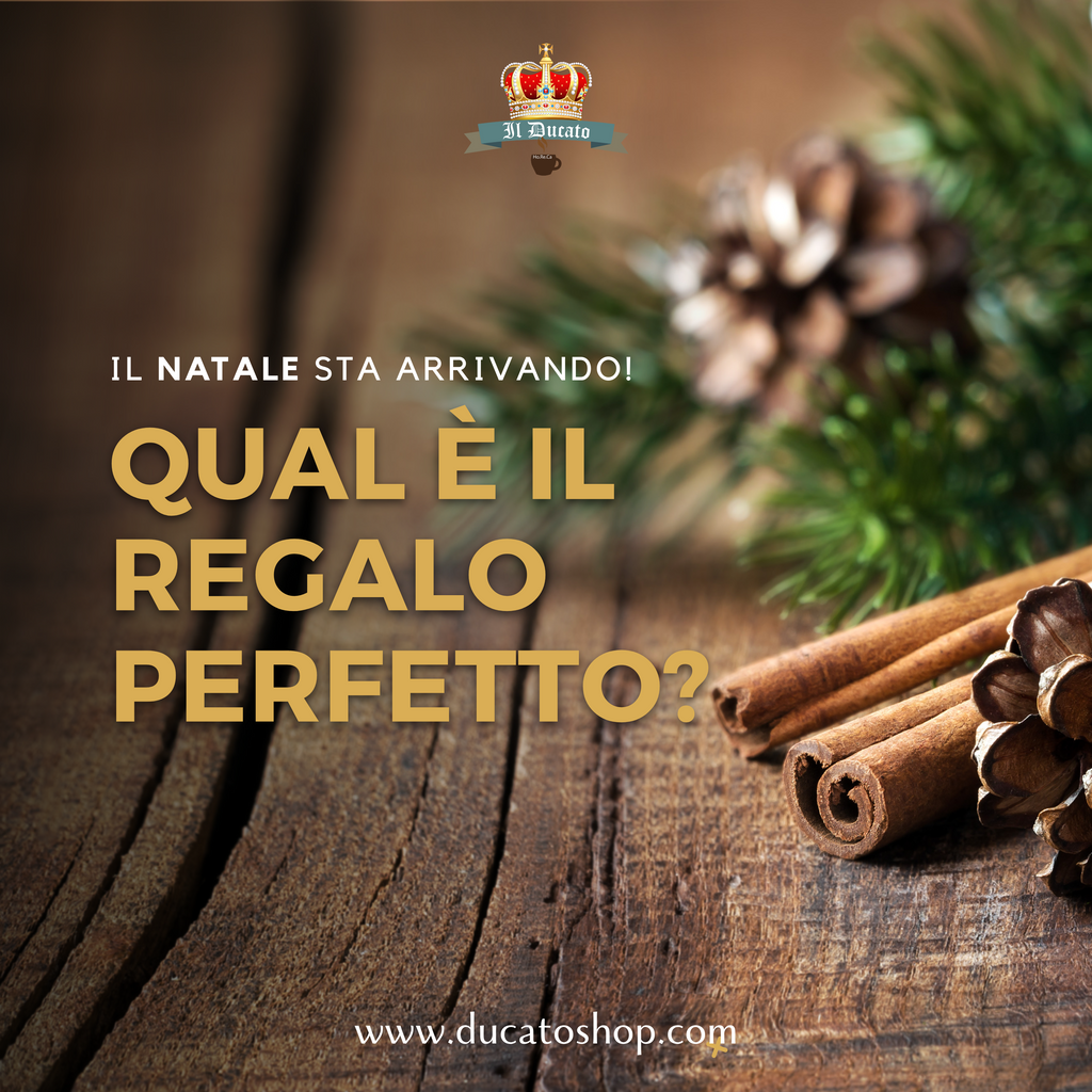 Il Natale sta arrivando! Qual è il regalo perfetto?